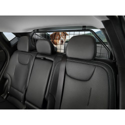 Trenngitter EV6 2025